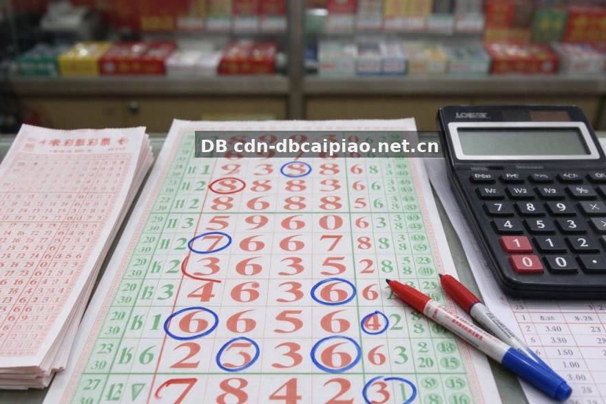 彩票站里的深夜食堂：一位打票员眼中的彩民百态